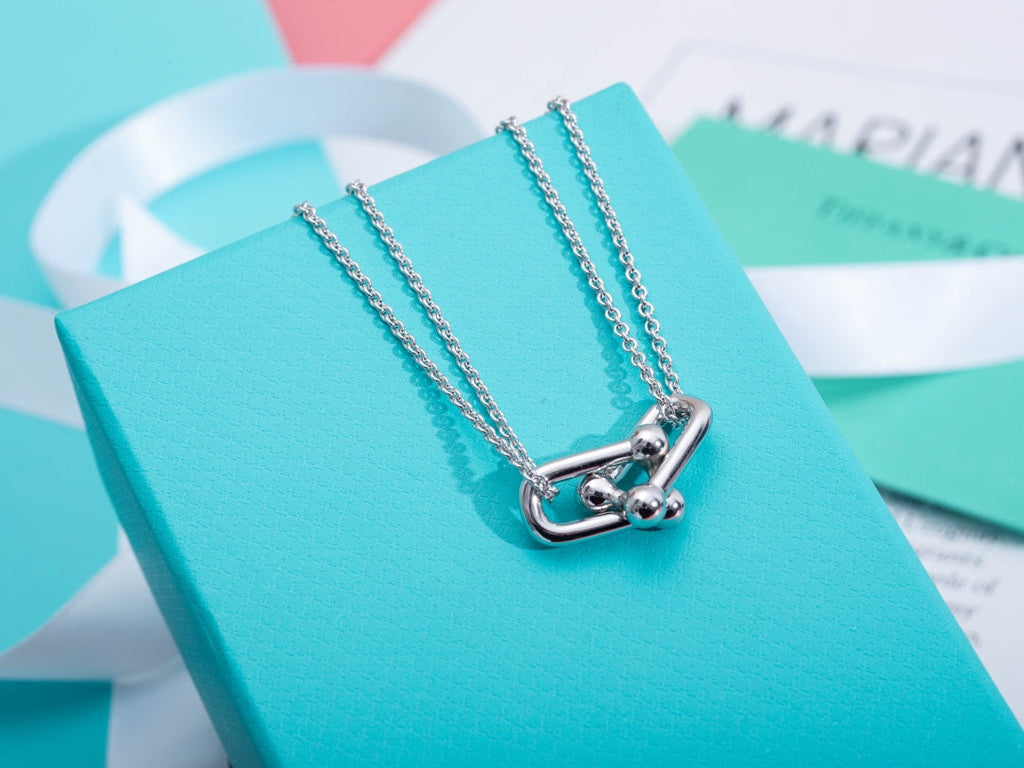 Tiffany Hardwear Double Link Pendant Silver Necklace - Style 2